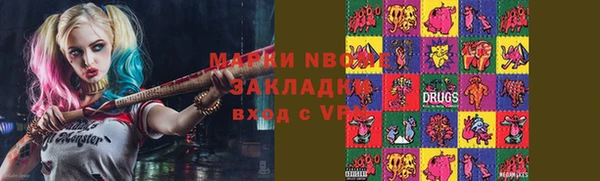 хмурый Бородино