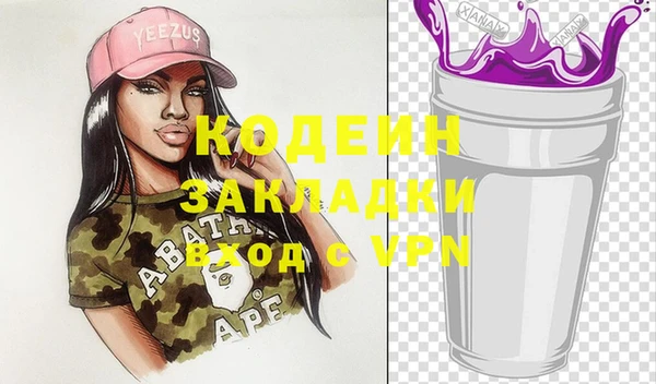 хмурый Бородино