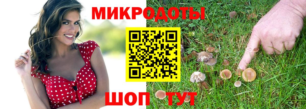 Галлюциногенные грибы мицелий  Вятские Поляны  Псилоцибиновые грибы ЛСД 