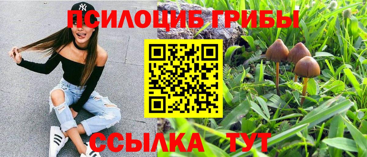 Псилоцибиновые грибы прущие грибы Вятские Поляны