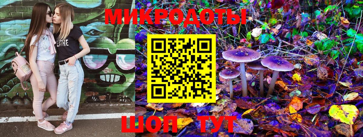Вятские Поляны  Псилоцибиновые грибы Psilocybe  Вход с VPN 