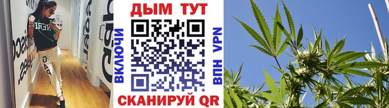 Каннабис Amnesia  Вятские Поляны 