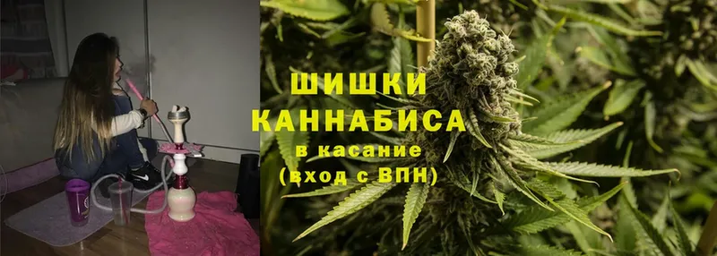 Бошки марихуана SATIVA & INDICA  МЕГА вход  Вятские Поляны 