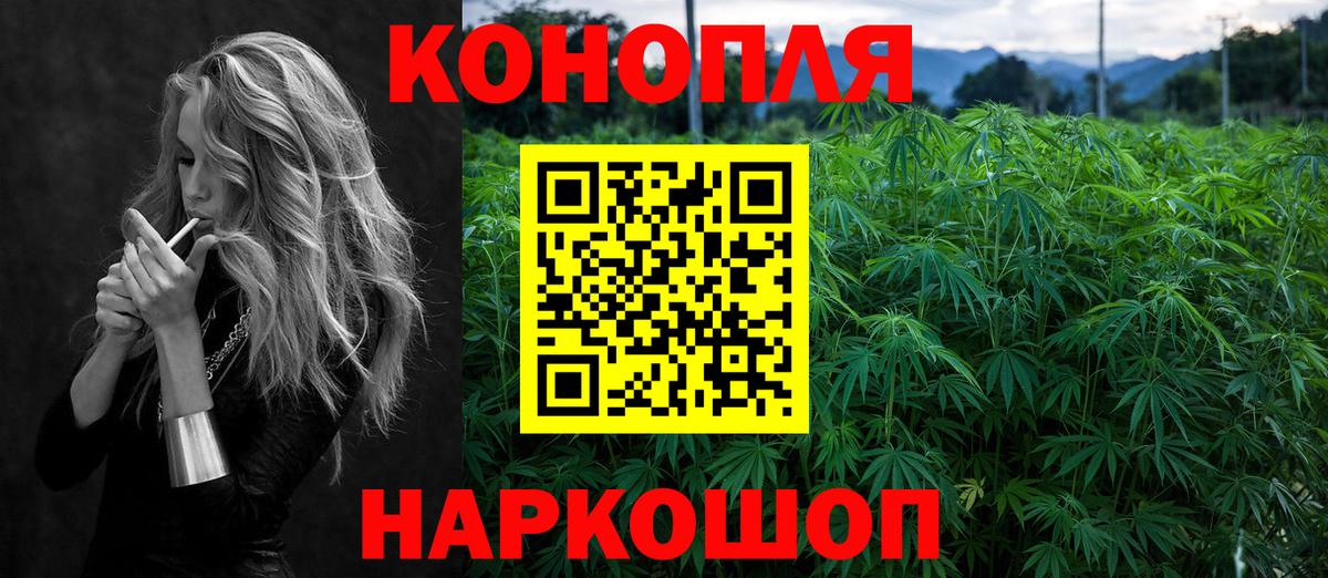 Каннабис OG Kush Вятские Поляны